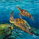 seascape exhibit two sea turtles swimming in shallow sea