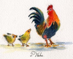 Chicken Family by Penny Waha