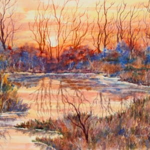 Merced Wildlife Refuge by Susan Regert