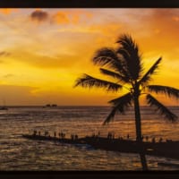 golden coastal sunset with silhouettes of people and palm tree